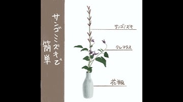 [#012 ILLUSTRATION MAKING] Cornus alba [Drawing floral illustration on iPad] #shorts