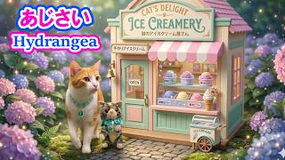 夢見る猫】紫陽花の小径を散歩した猫 / A dreaming cat walking on the
