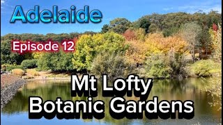 Adelaide Mt Lofty Botanic Gardens - Autumn Colours by Swanning Around 25 views 11 days ago 8 minutes, 54 seconds