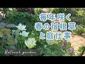 【森庭の可愛い宿根草】石積みや花苗の植え付け作業