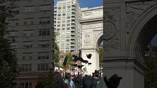 Newyork/ Washington Square Park