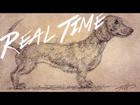 Biro Pen Sketch of a Dachshund on Pastel Background (Real Time Drawing)