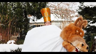 Silvesterchläuse Und Schnappesel In Wald - Swiss New Years Eve Tradition