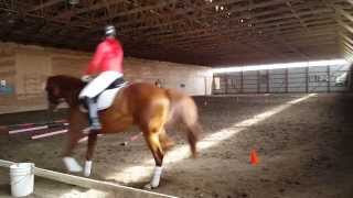 20151002 120502 Oct 2 2015 Leigh on Kane Day 1
