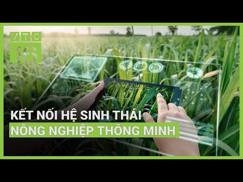 Kết nối hệ sinh thái nông nghiệp thông minh | VTC16