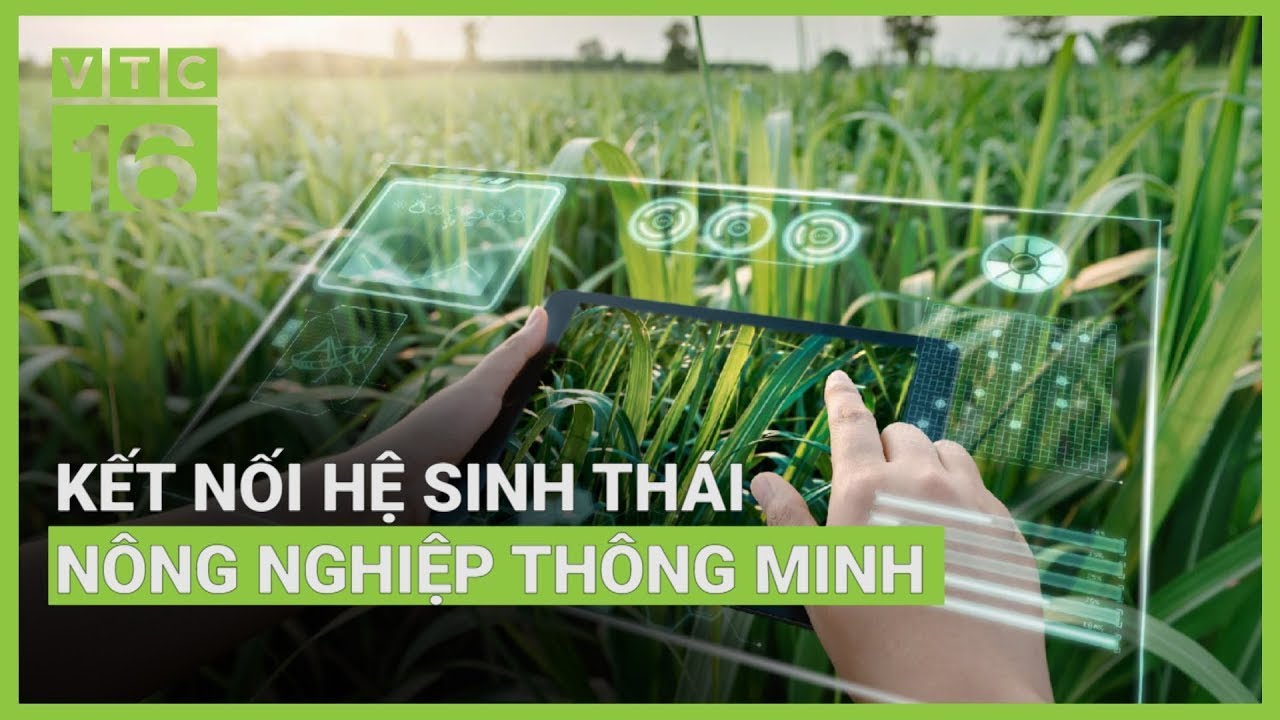Kết nối hệ sinh thái nông nghiệp thông minh | VTC16