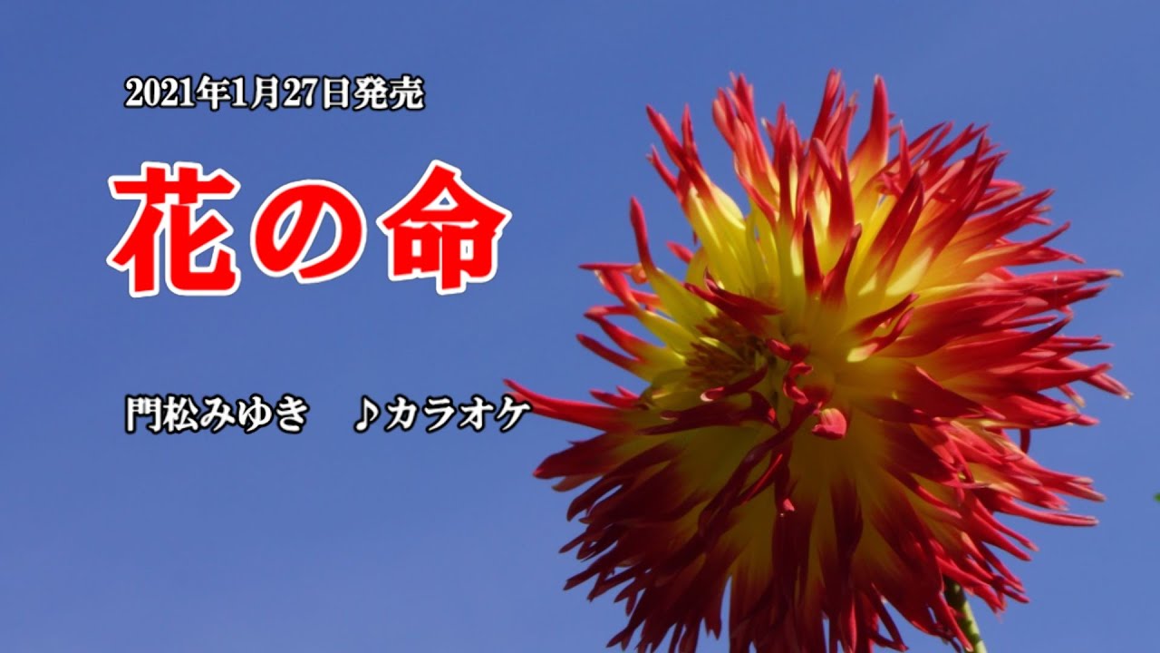 花の命 オリジナル カラオケ 門松みゆき Shazam