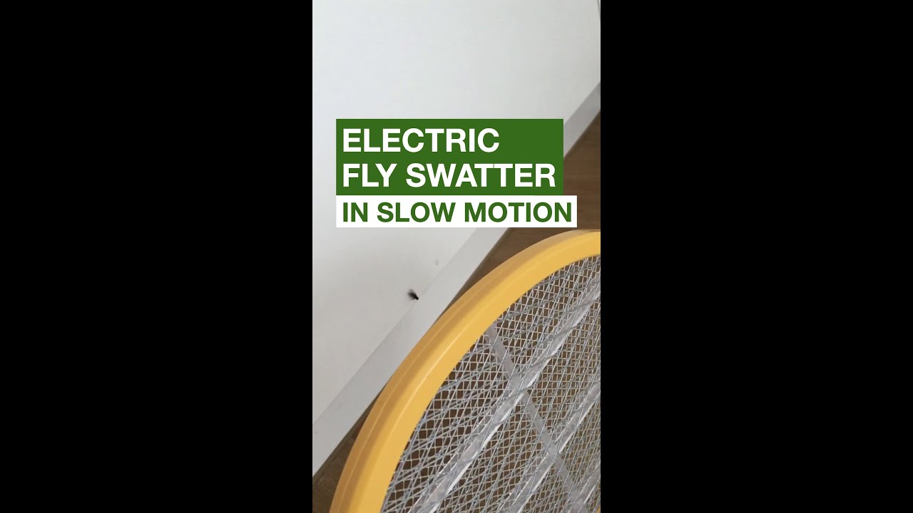 ELECTRIC FLY SWATTER IN SLOW MOTION YouTube