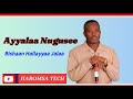 Ayyalaa Nugusee Bishaan Hallayyaa Jalaa Sirboota A Oromoo Durii Yeroo Bohaartii HAROMSA TECH 