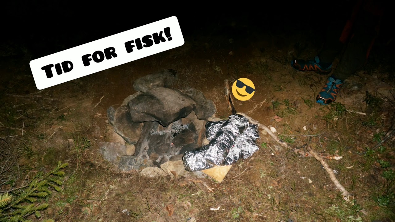 Hvordan tilberede fisk i en kokegrop?