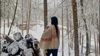 Oberpleis To Ittenbach In Winter