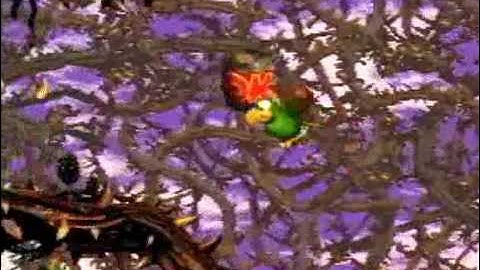 Donkey Kong Country 2 - 102% Walkthrough, Part 43 - Screech