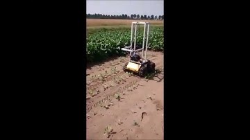 Husky auto-navigation crop row following field test