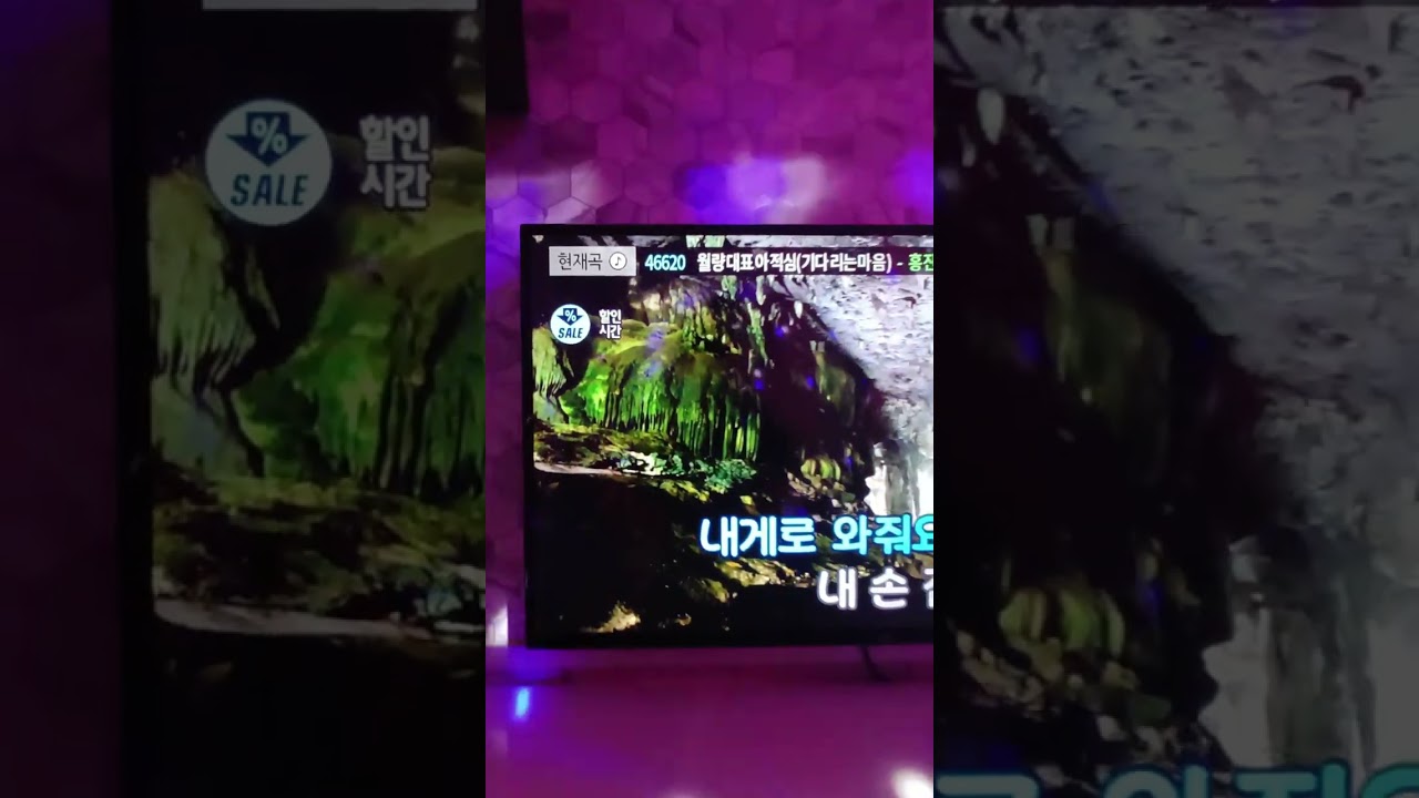 월량대표아적심(기다리는 마음)-홍진영 일반인노래방커버