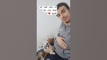 تلاوة عطرة تقشعر منها الأبدان راحة نفسية القرآن الكريم القارئ الجزائري عبد العزيز سحيم