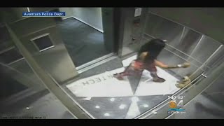 Video Shows Woman Stomping, Kicking Dog In Elevator Video Shows Woman Stomping, Kicking Dog In Elevator