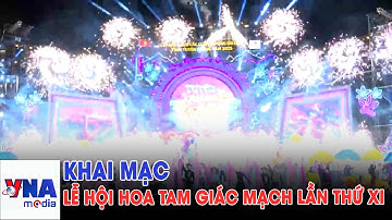 Khai mạc Lễ hội Hoa Tam giác mạch lần thứ XI - VNAMedia