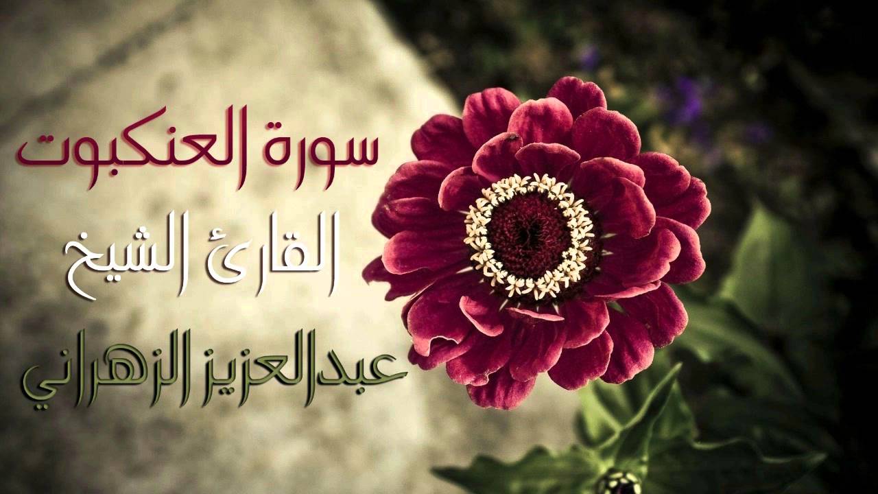 تلاوة هادئة وخاشعة للقارئ الشيخ عبدالعزيز الزهراني - سورة العنكبوت