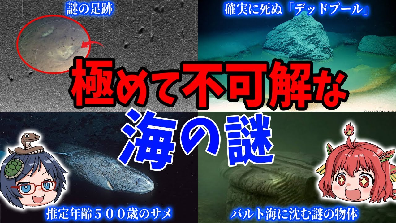 【海底ミステリー】未だ解明されていない海の謎6選