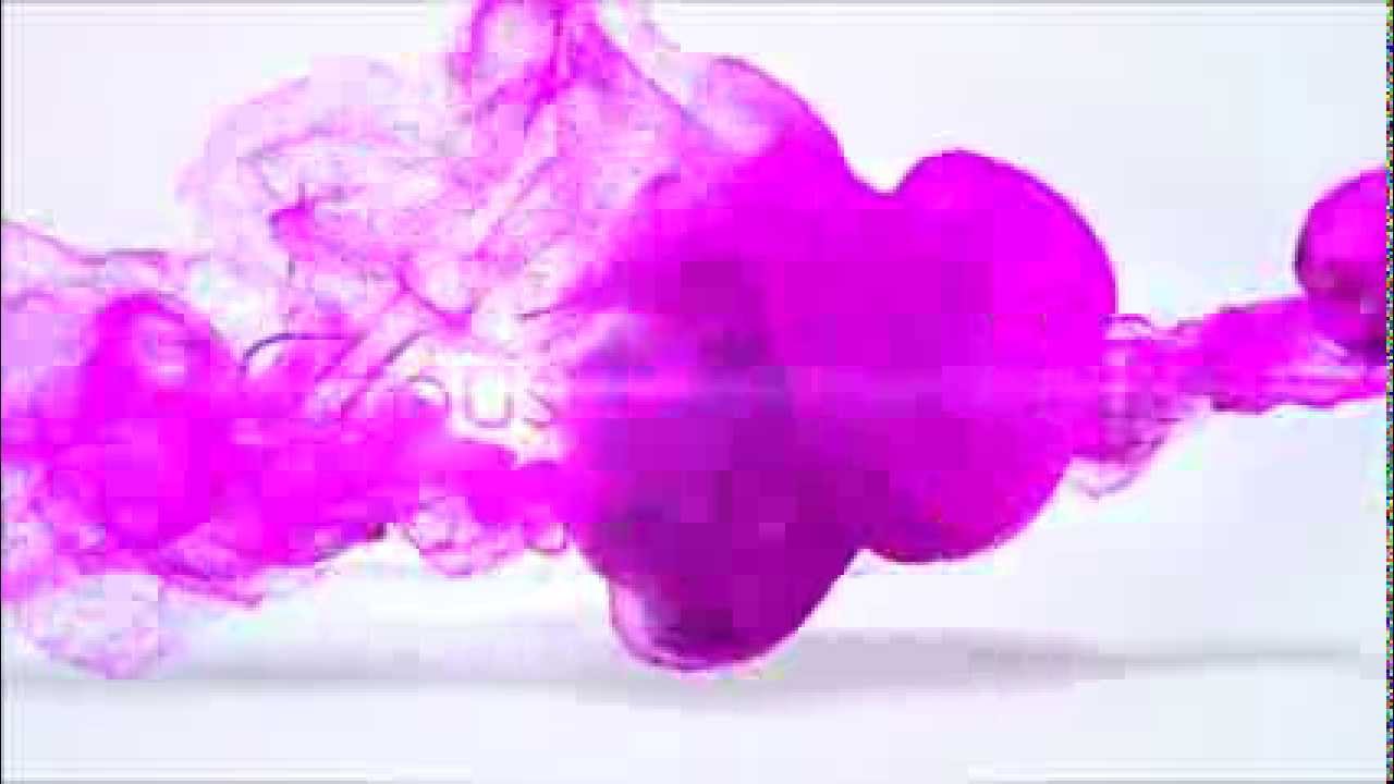 House of Haute 2013 F/W Promo