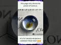Satisfying chemical reaction #sciencefacts #ytshorts #science