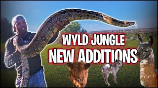 WYLD JUNGLE NEW ADDITIONS | THE REAL TARZANN by THE REAL TARZANN 28,662 views 4 months ago 29 minutes