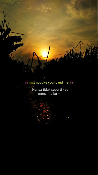 Story wa | Happier - Olivia Rodrigo | lirik dan terjemahan