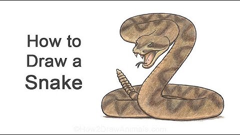 How to Draw a Snake (Rattlesnake Striking)