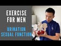 Beckenboden Kegel Übungen Für Männer Verbesserung Von Harninkontinenz Und Erektionsstörungen