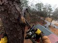 Pine Tree drop limbs and trunk