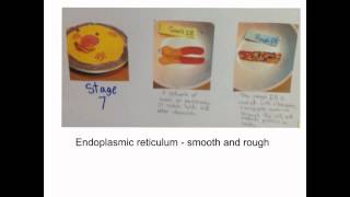 How To Make A Cell Cookie