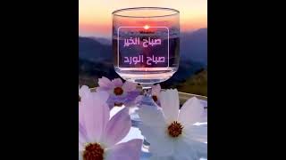 صباح الخير صباح الورد صباح معطر بذكر الله - منظر خلاب -2021