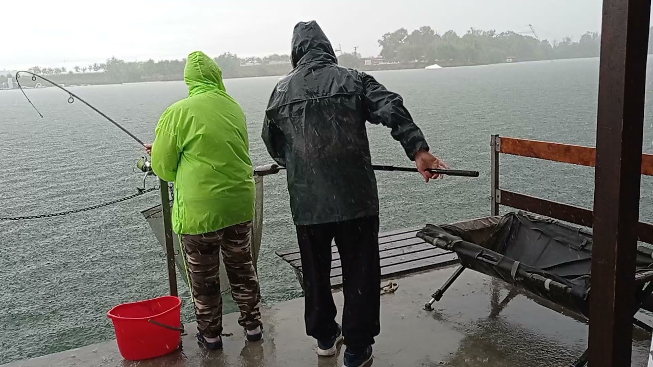 carp&carp bánya tavi peca