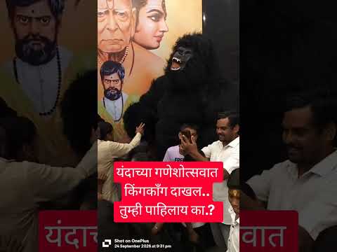गणेशोत्सवात किंगकाँग दाखल, तुम्ही पाहिलाय का? #kingkong #shorts #short #viral #reels #viralshorts