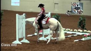 Color Breed Congress Champion Trail PHBA 2015