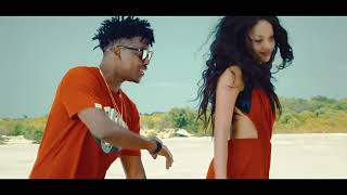 Chege feat.Nandy - Kelele Za Chura [ ]
