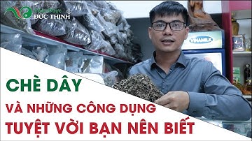 Chè dây và những công dụng tuyệt vời bạn nên biết