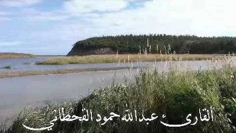 سورة المؤمنون كاملة  من روائع صلاة التراويح1437هـ القارئ عبدالله حمود القحطاني حصرياً