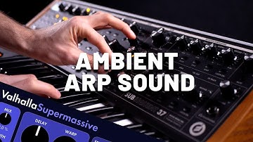 Ambient Arp Sound with Moog Subsequent 37 [Synthesizer Demo] (No Talking)
