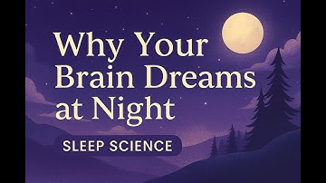Why Your Brain Dreams at Night