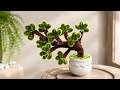 モールで簡単！ミニ鉢植えの作り方🌿