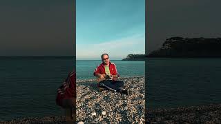 Сергей Костюжов – Киты (песня Миши Волегова)