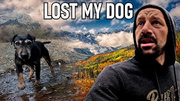 THE WILD TOOK MY DOG 🐾| I Lost My Best Friend: The Day Živko Didn