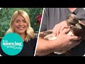 The Pet Duck Who is Terrorising his Family | This Morning