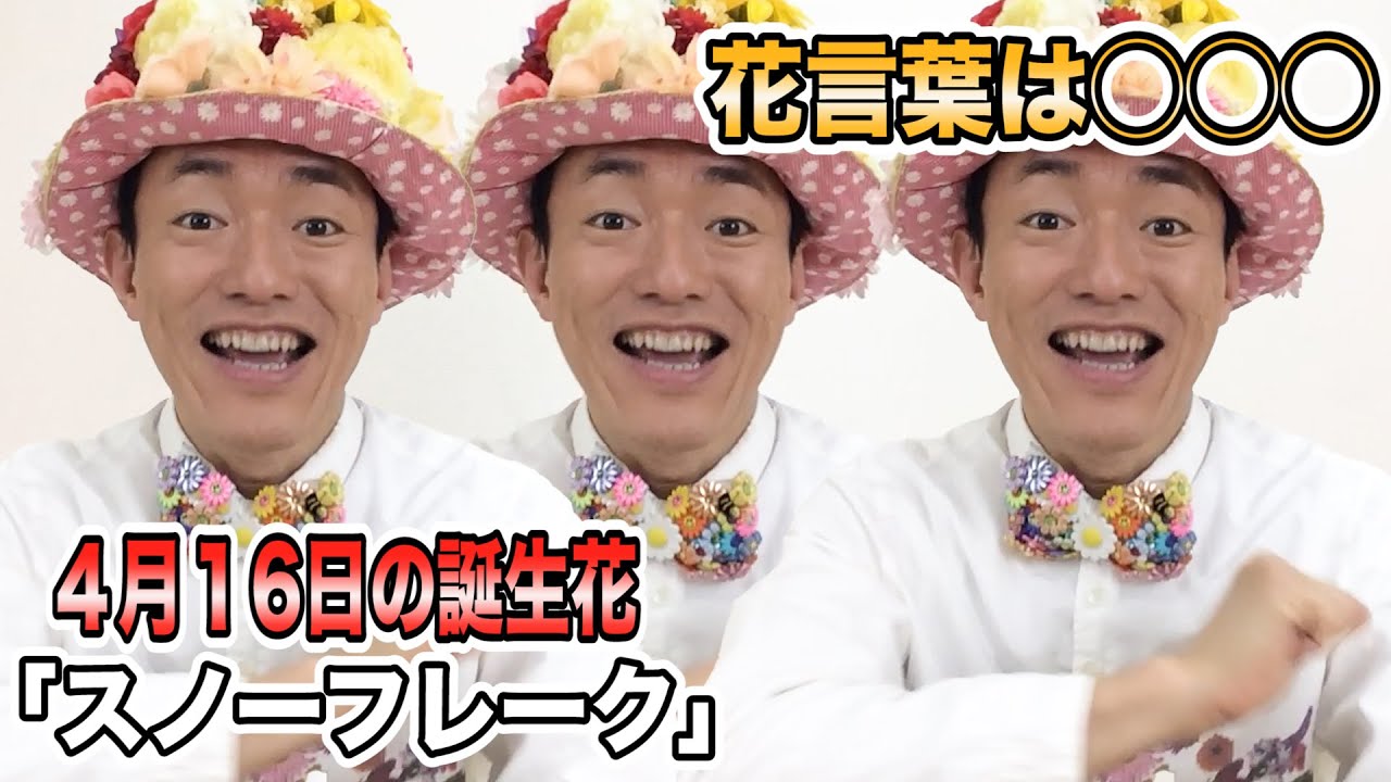 4月16日の誕生花は スノーフレーク その花言葉は 友達の誕生日に送ろう お花くん Youtube