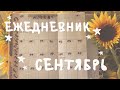 мой ежедневник bullet journal - сентябрь