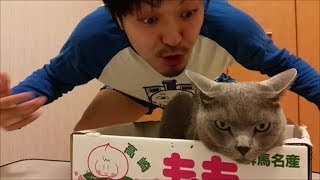 Shall we Dance?  　猫をダンスに誘ってみた