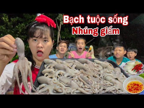 Video Lần Đầu Ăn BẠCH TUỘC SỐNG Nhúng Giấm Chấm Muối Ớt Liệu... - youtube
