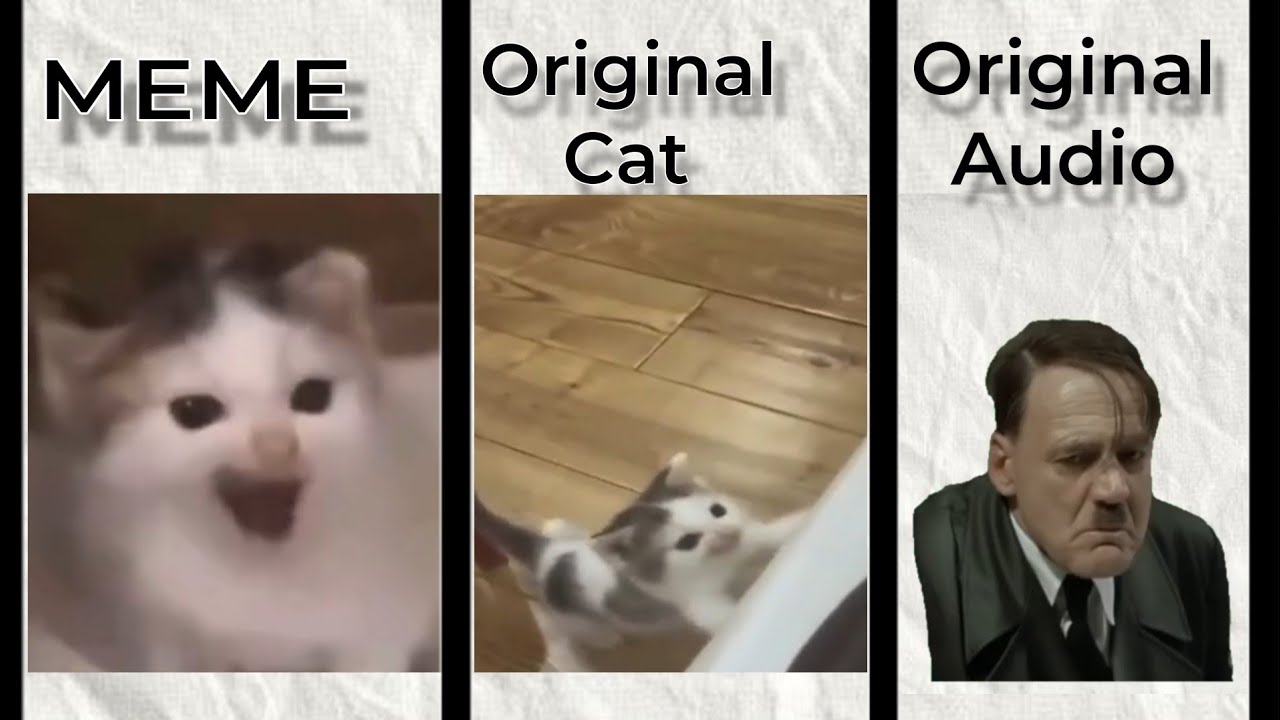 German cat vs original Cat vs original Audio 😺