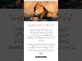Sher ki umar ka raaz uske baalon mein! 🦁 #ShortsLionFacts #AmazingFacts